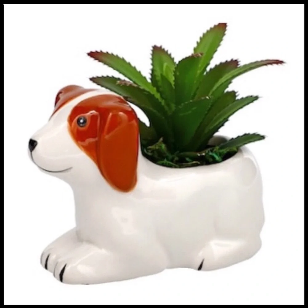 Small Boxed Ceramic Animal Planter (Duncan the Dog)